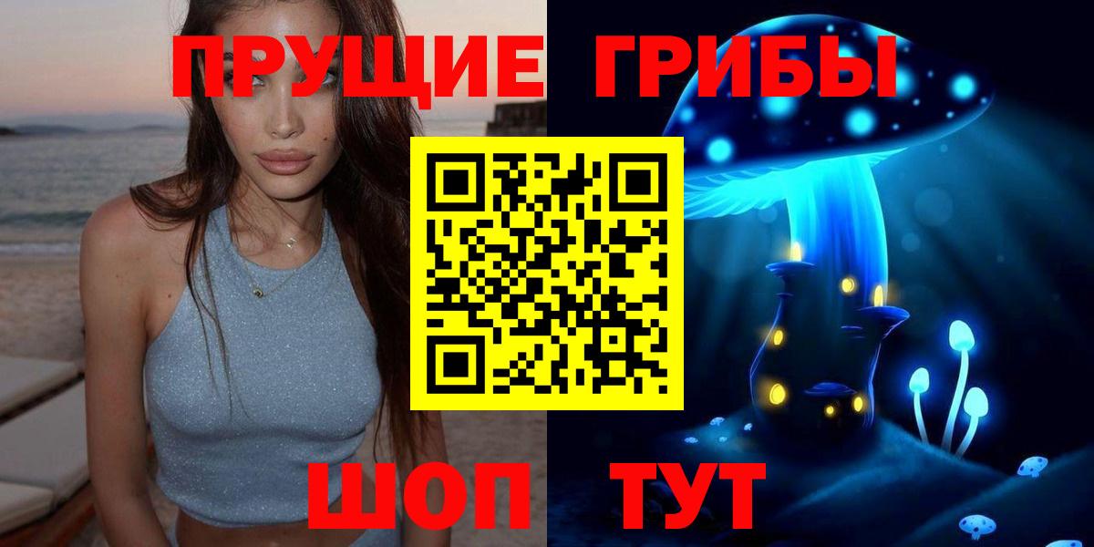 закладки  Галлюциногенные грибы Magic Shrooms  Заводоуковск  Вход с VPN  Псилоцибиновые грибы Cubensis 