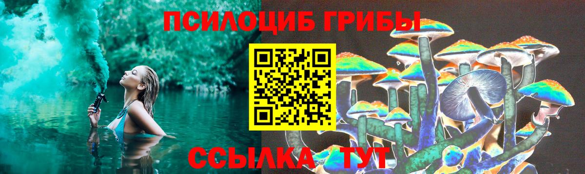 Галлюциногенные грибы MAGIC MUSHROOMS Заводоуковск